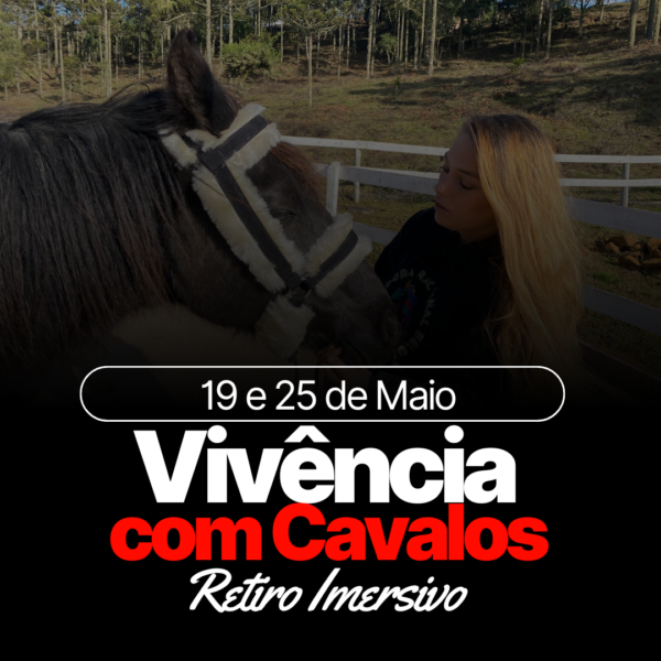 Transforme Sua Conexão com Cavalos – Retiro Imersivo